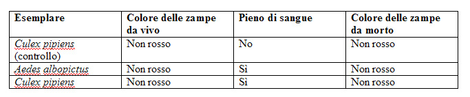 Informazione su Culicidae